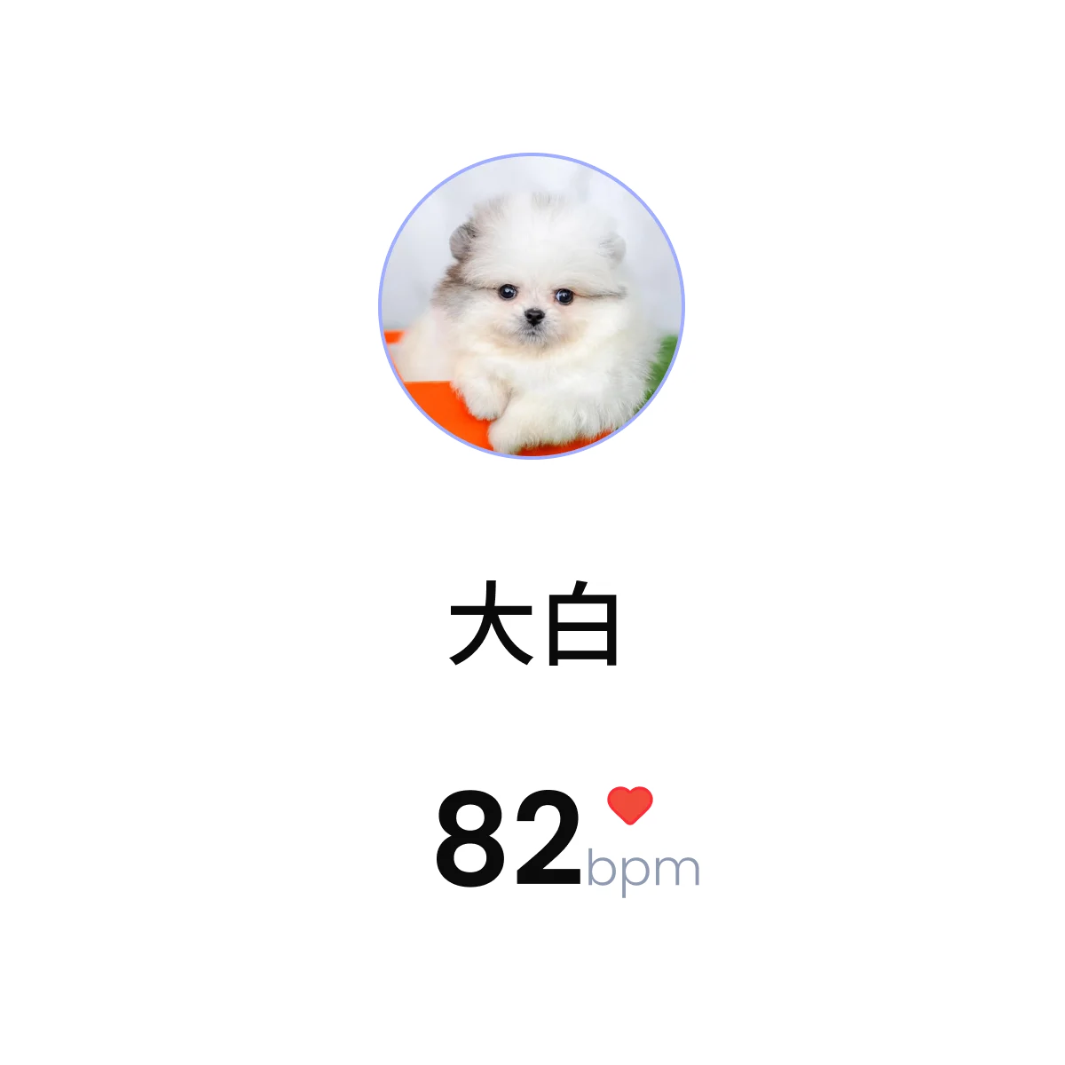 Pet ECG — 大白